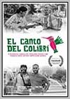 El Canto Del Colibrí 1