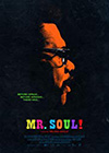 Mr Soul
