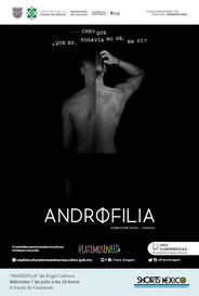 Androfilia