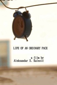 Ordinary Life Aleksandar S Kalezic
