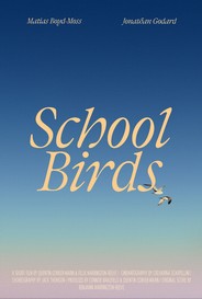 School Birds