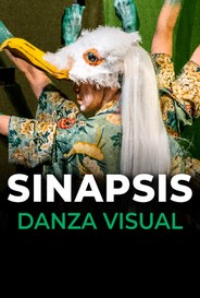 Sinapsis2