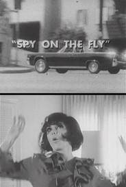 The Spy On The Fly