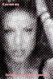 If You Seek Amy