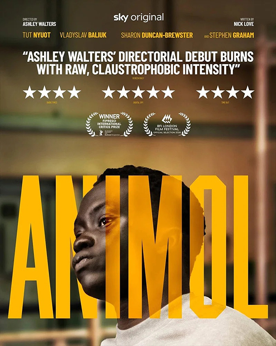 Animol