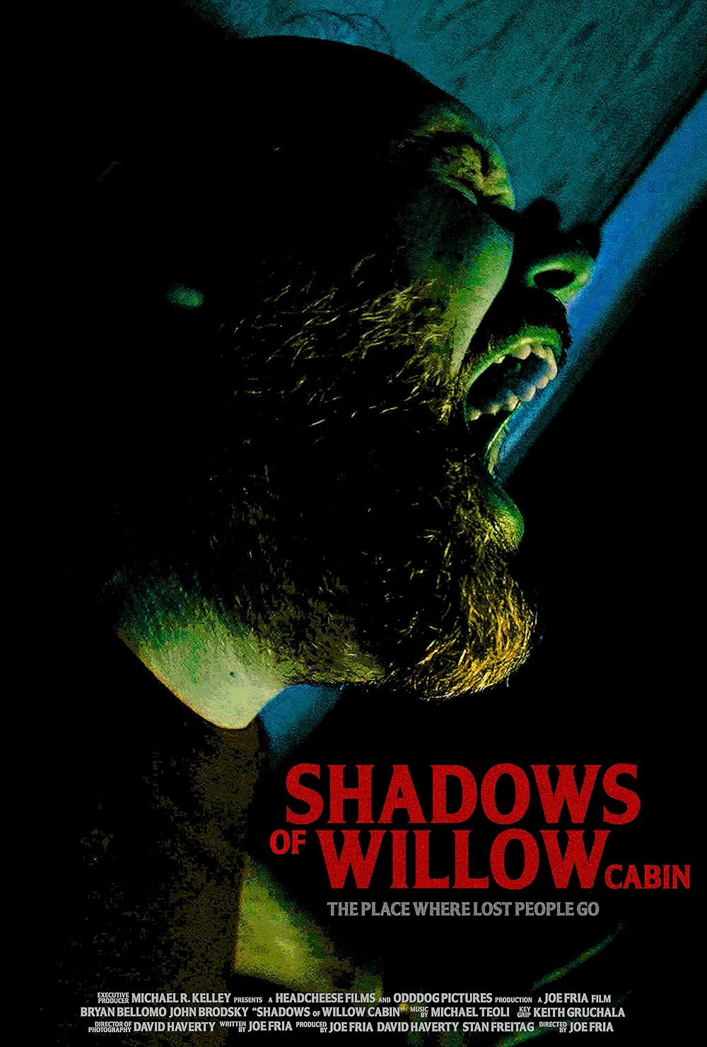 Shadows Of Willow Cabin